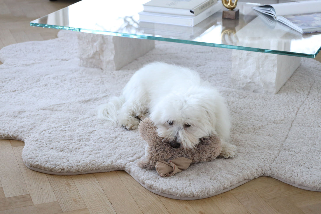 Sheepskinhouse.pl