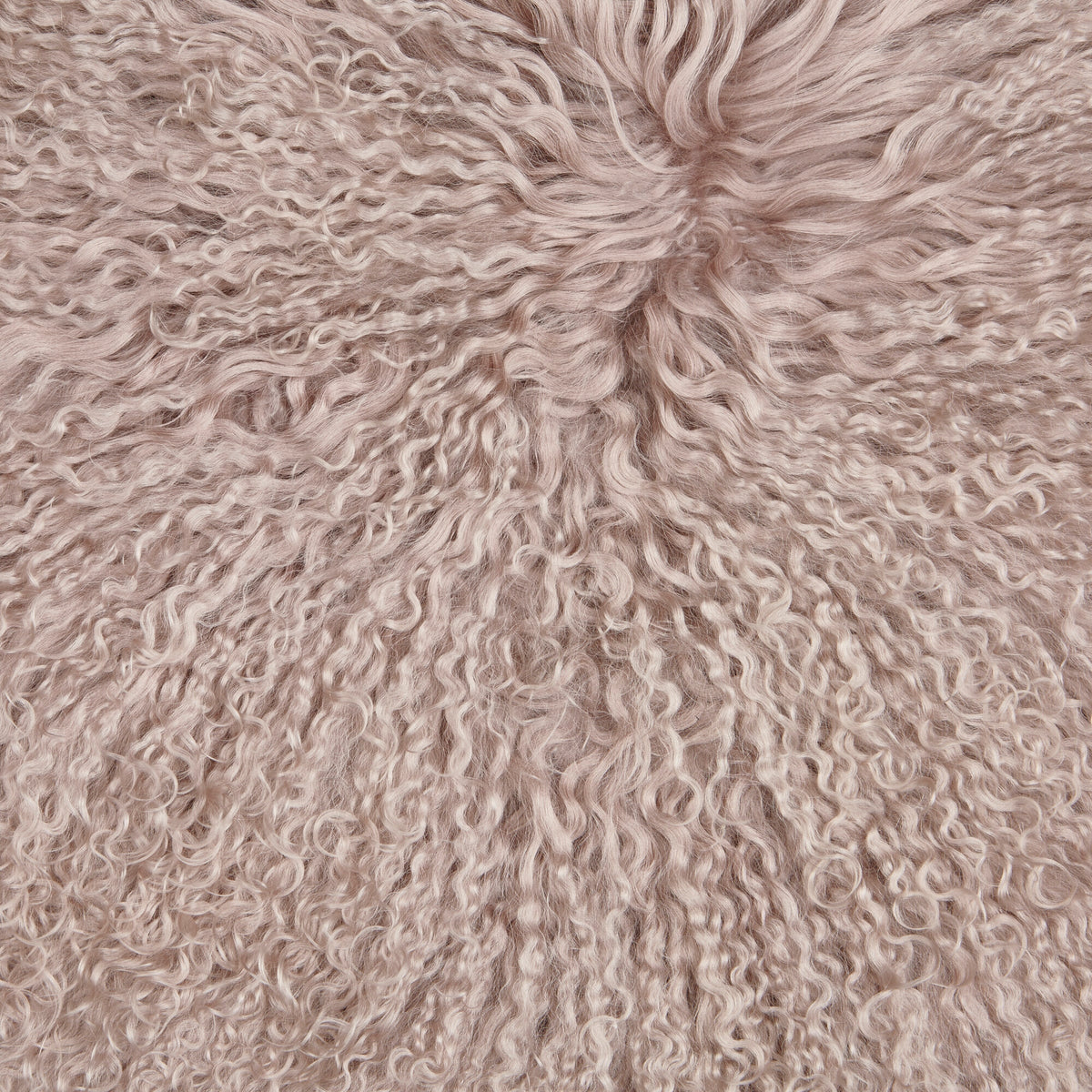 Podwójna Mongolska Owcza Skóra | 150 x 55 cm Gołębi