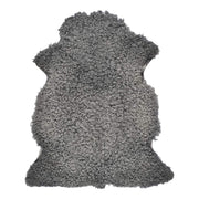 Owcza Skóra z Gotlandii | Kręcona Krótka Wełna | 90–100 cm